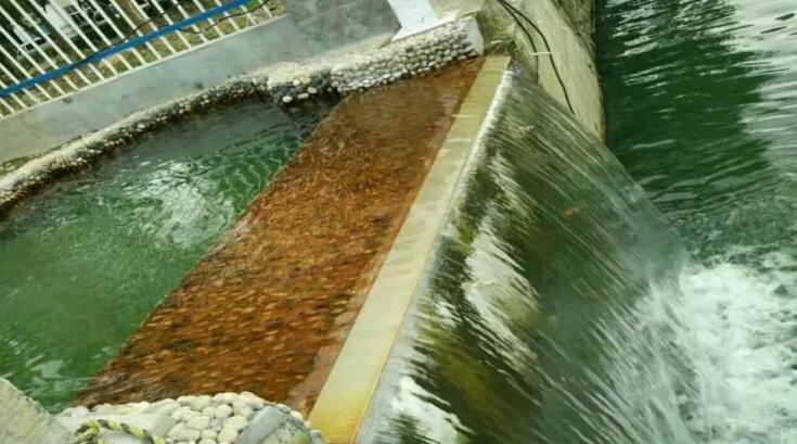 【關(guān)注】使命必達(dá)、久久為功——走近中建環(huán)能華東公司