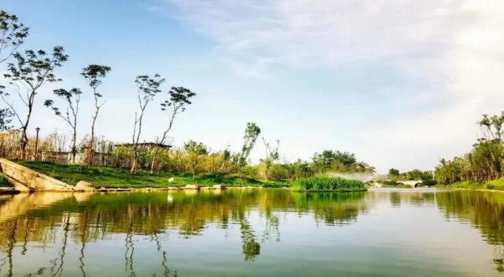 【關(guān)注】使命必達(dá)、久久為功——走近中建環(huán)能華東公司