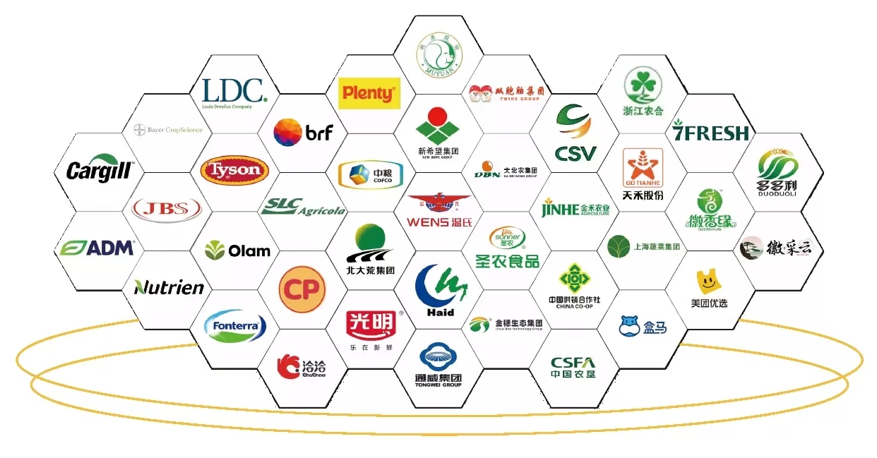 2026 IRID國(guó)際鄉(xiāng)村發(fā)展創(chuàng)新博覽會(huì)正式啟動(dòng):科技賦能鄉(xiāng)村,創(chuàng)新引領(lǐng)未來!